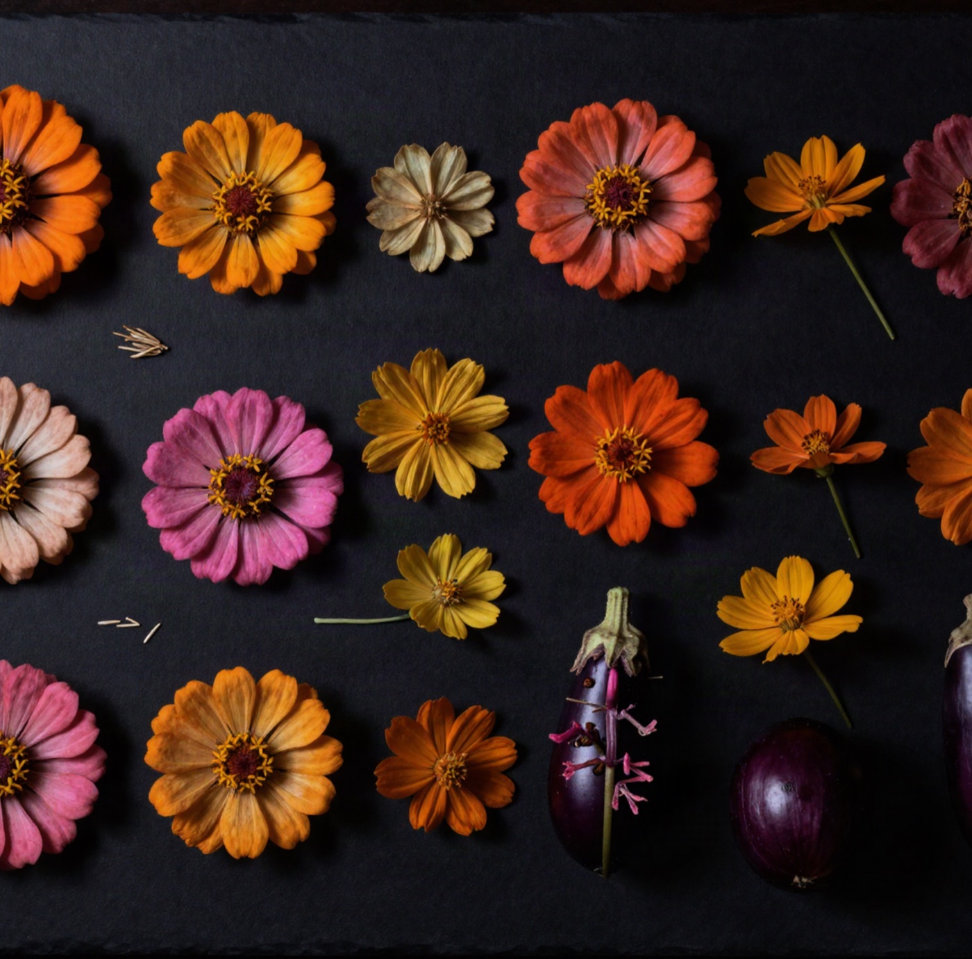 Flower seed specimens on a mount sheet